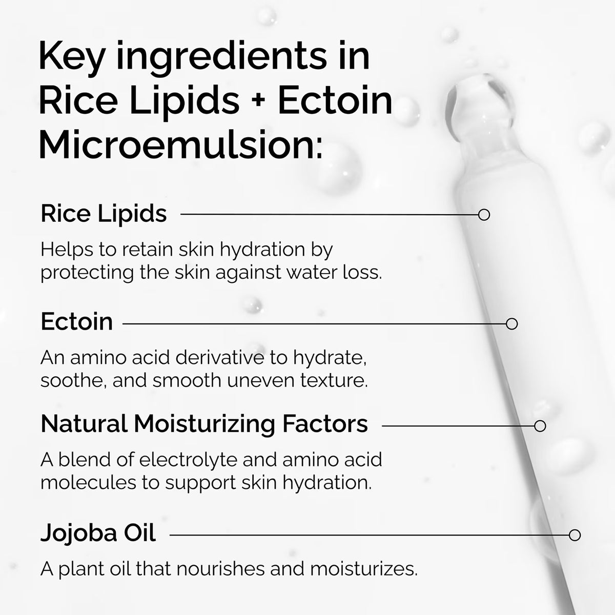 The Ordinary Rice Lipids + Ectoin Microemulsion Ultra-Lightweight Moisturizer  120ml