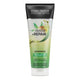 John Frieda Detox and Repair Shampoo For Dry Stressed & Damaged Hair 250ml
